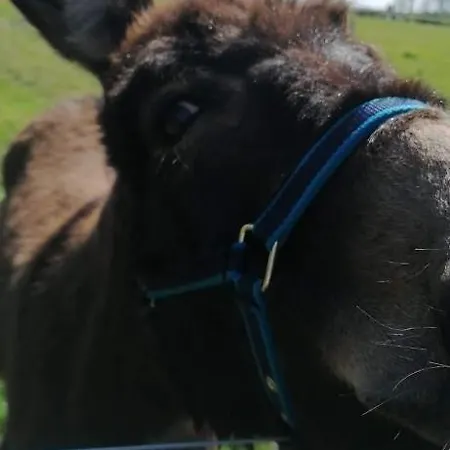 Les Coquelicots Vakantiehuis *