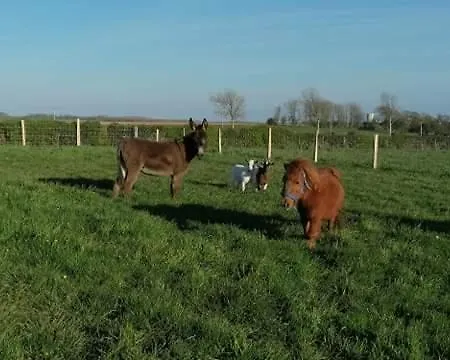Vakantiehuis Les Coquelicots