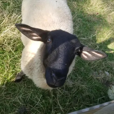 度假居 Les Coquelicots