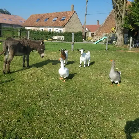 Les Coquelicots * Lacres
