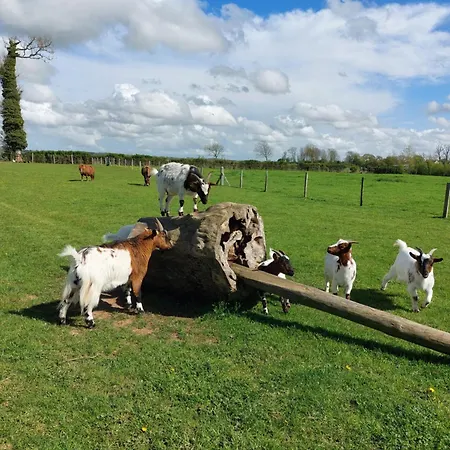 Les Coquelicots 度假居 Lacres