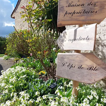 Les Coquelicots