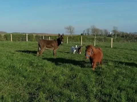 Hébergement de vacances Les Coquelicots