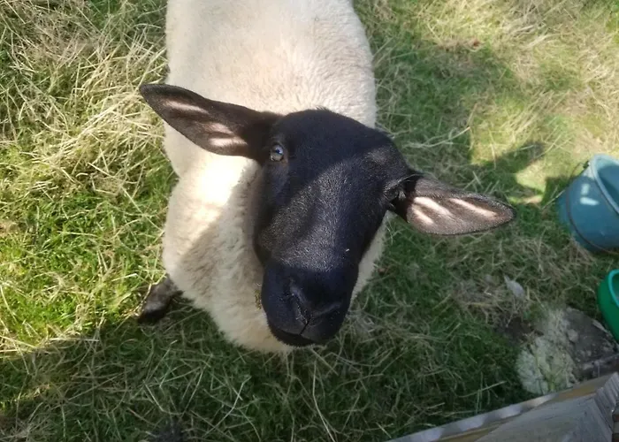 Hébergement de vacances Les Coquelicots