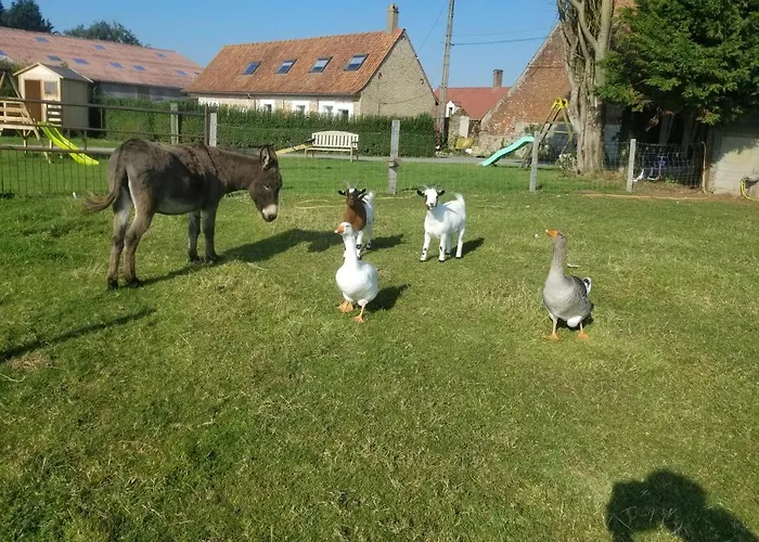 Les Coquelicots * Lacres
