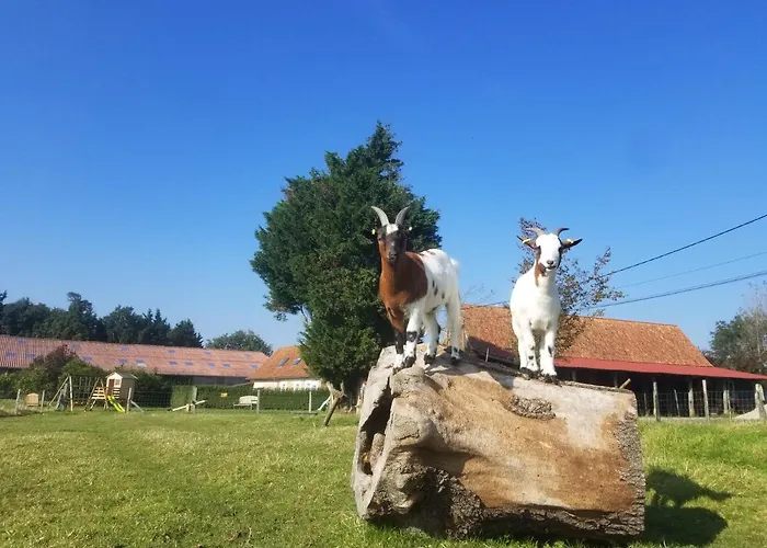 Hébergement de vacances Les Coquelicots