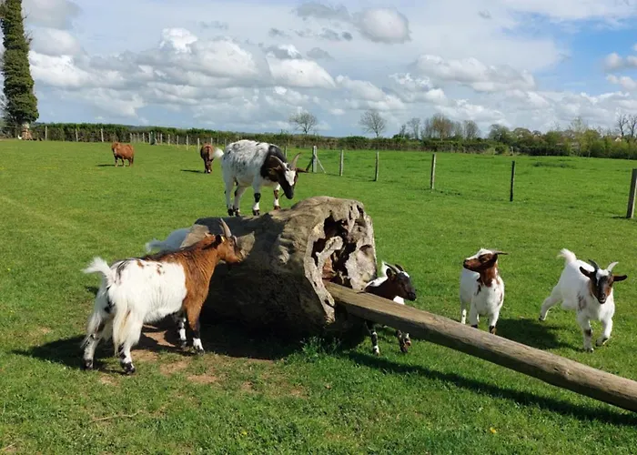 Les Coquelicots Hébergement de vacances Lacres